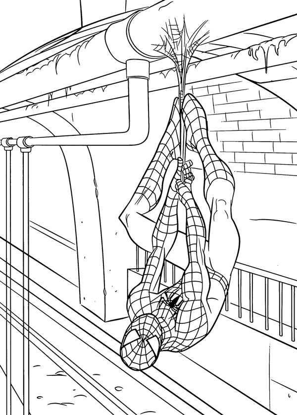 Spider man Marvel раскраска