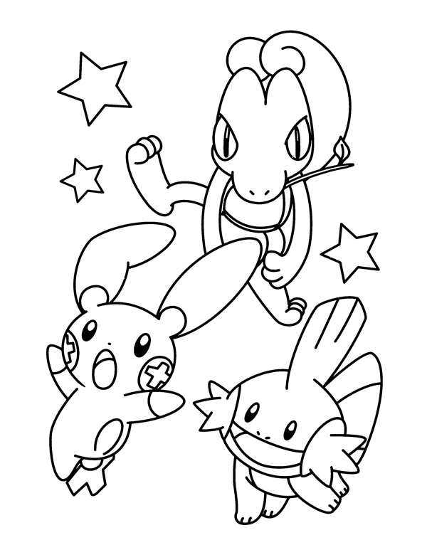 Shaymin Sky
