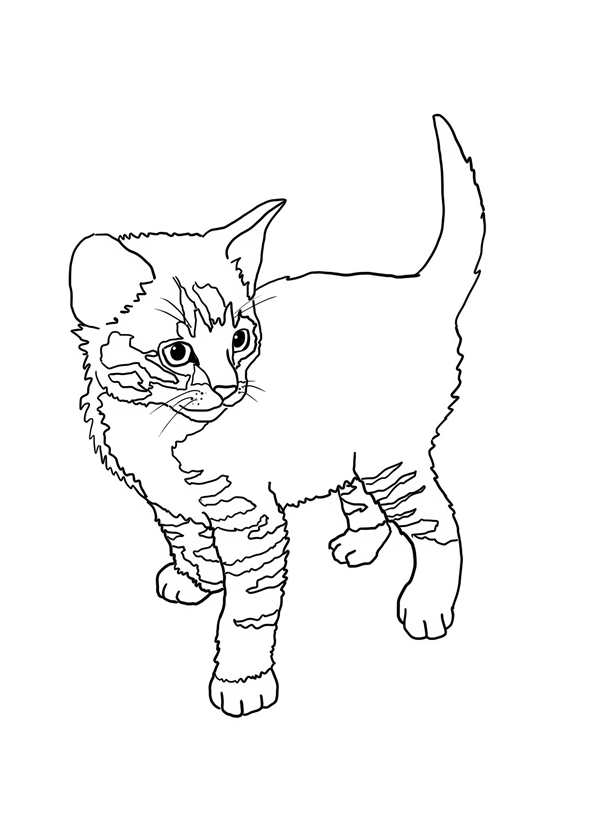 Котёнок для срисовки легкие