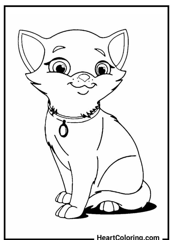 Раскраска кот