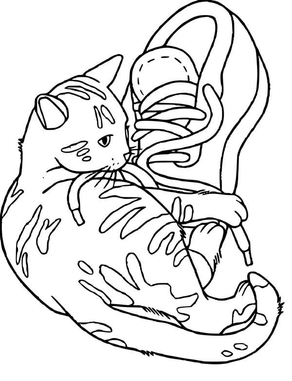 Котик раскраска для детей