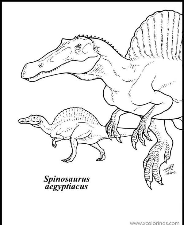 Раскраска Милый малыш Спинозавр BABY DINOSAUR Coloring Page
