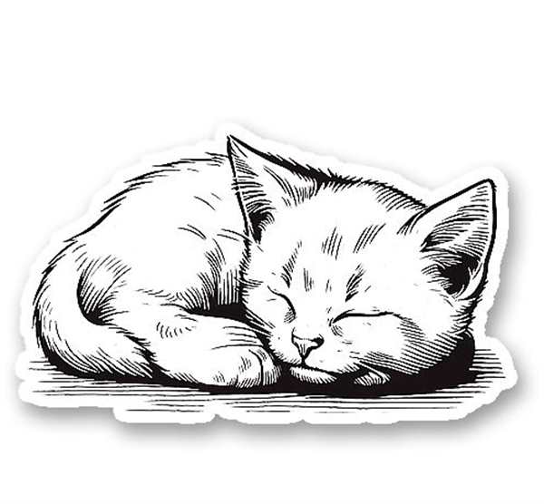 Спящий кот раскраска