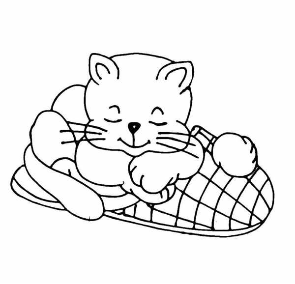 Кошка свернулась клубком