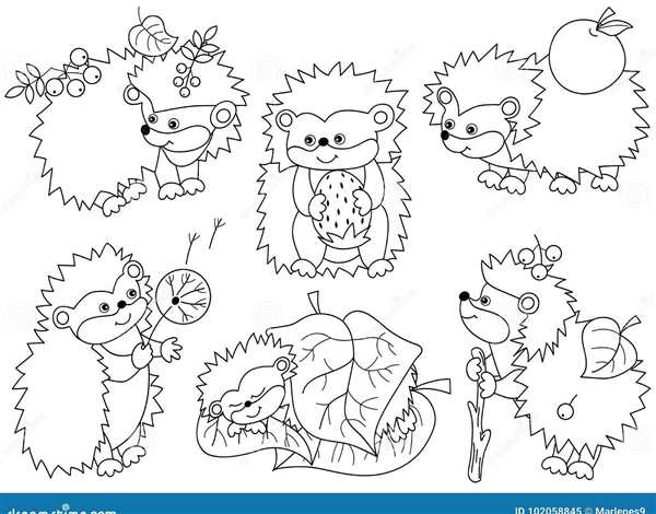 {Hedgehog reading}