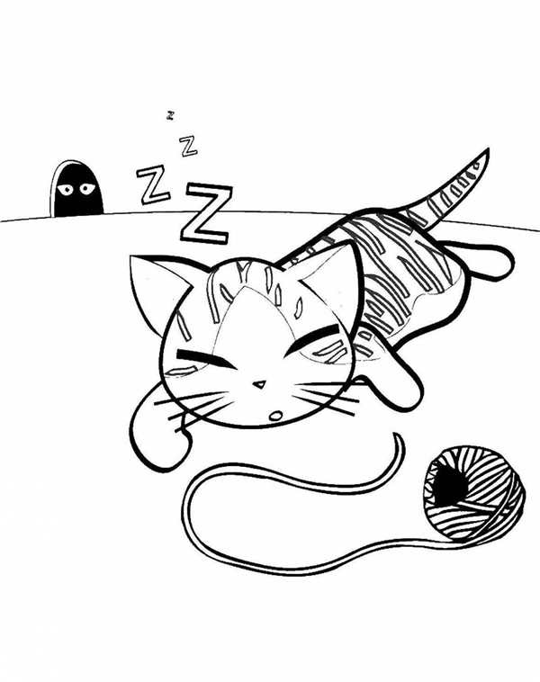 Котик раскраска для детей