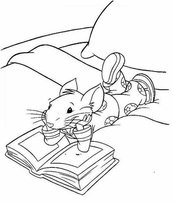 Раскраска. Котики