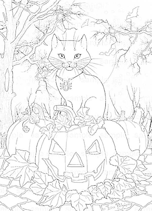 Pumpkin раскраска