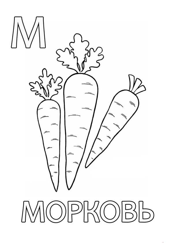 Раскраска Морковь для Веселья и Учёбы