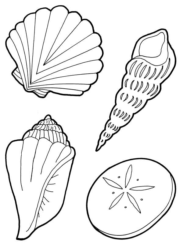 Раскраски ракушки морские