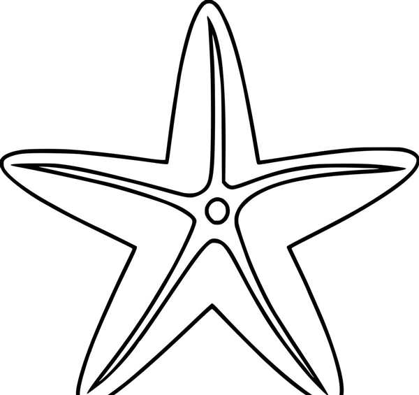 Раскраска морскиизвезды