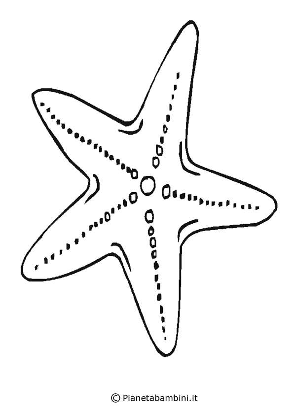 Морская звезда раскраска