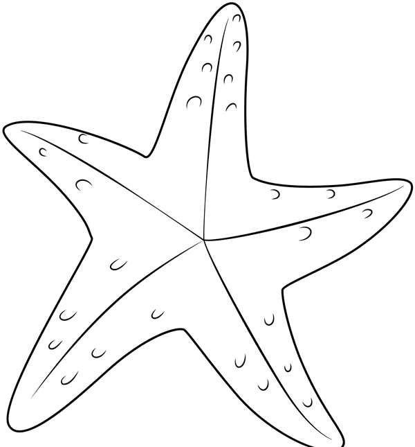 Раскраска морские обитатели
