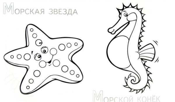 Морская звезда трафарет