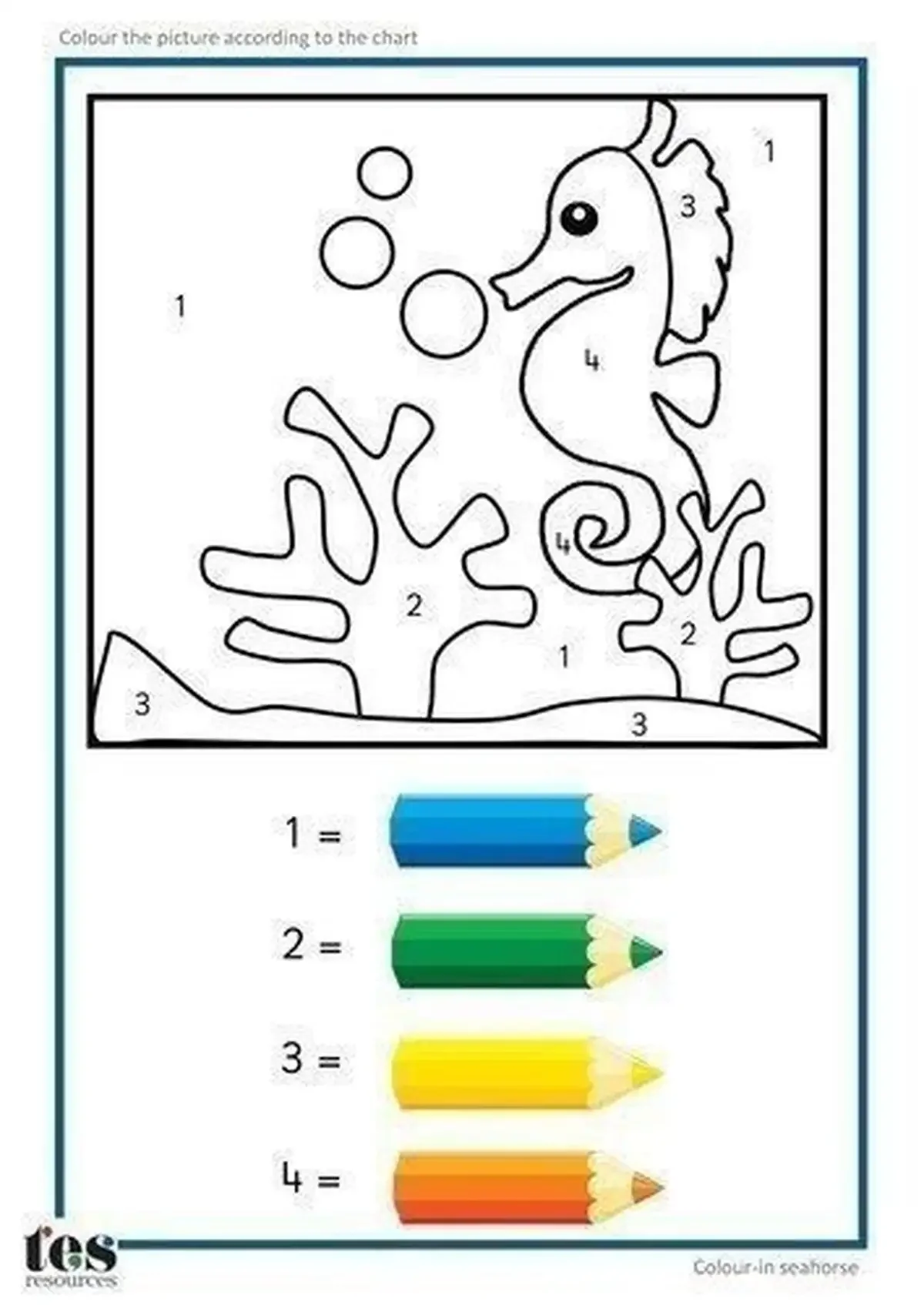 Seahorse cartoon