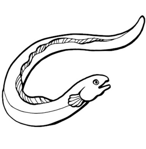 Змея раскраска