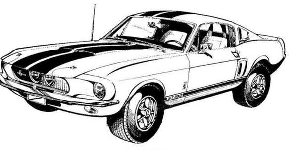 Раскраска Ford Mustang Shelby gt 500