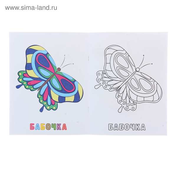 Бабочка раскраска маленькая