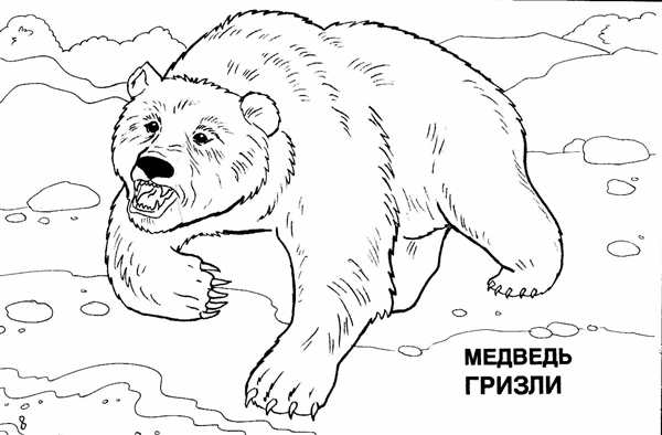 Раскраска \