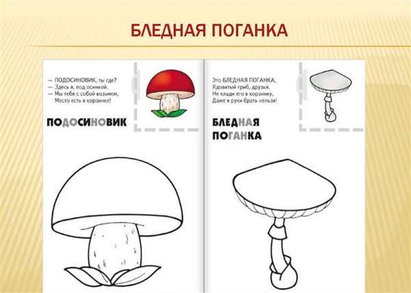 Галерина окаймлённая раскраска