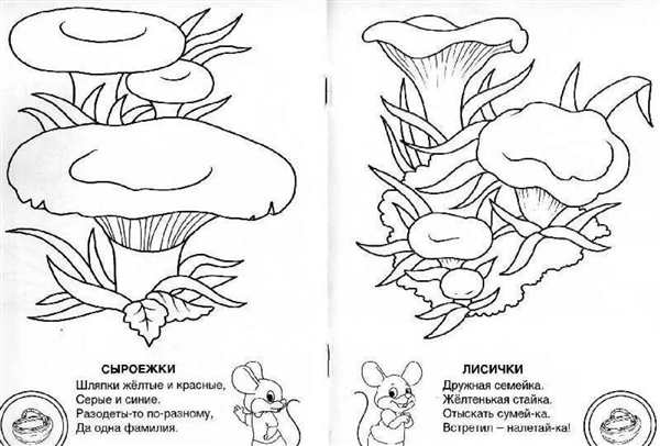Грибы раскраски для детей с названиями съедобные и несъедобные
