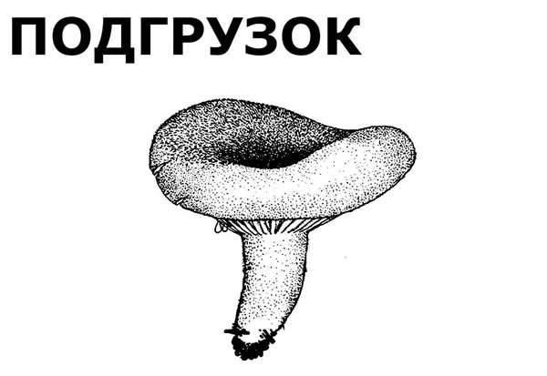 Грибы раскраска для детей