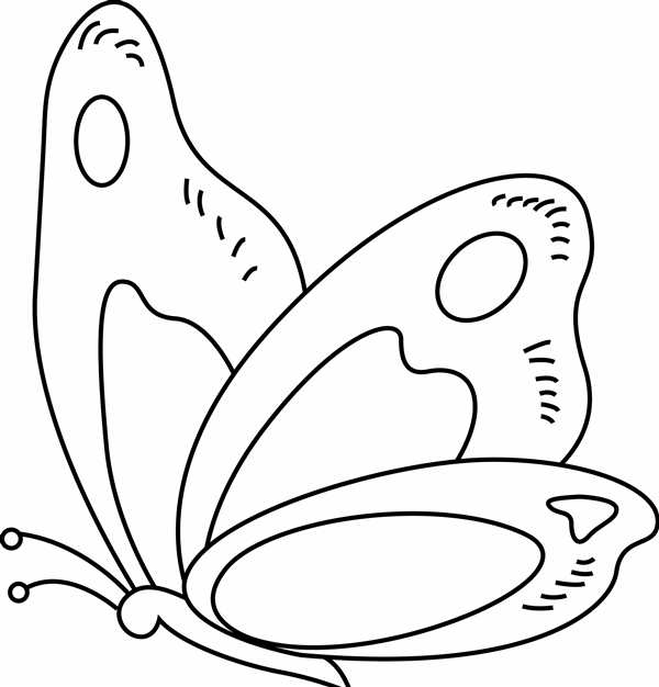 Мотылек раскраска