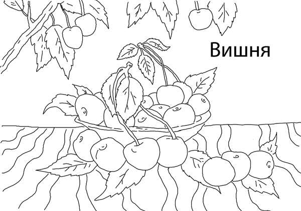 Рисунки для раскрашивания цветы
