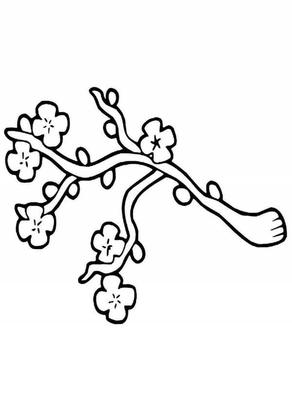 Рисунки цветов