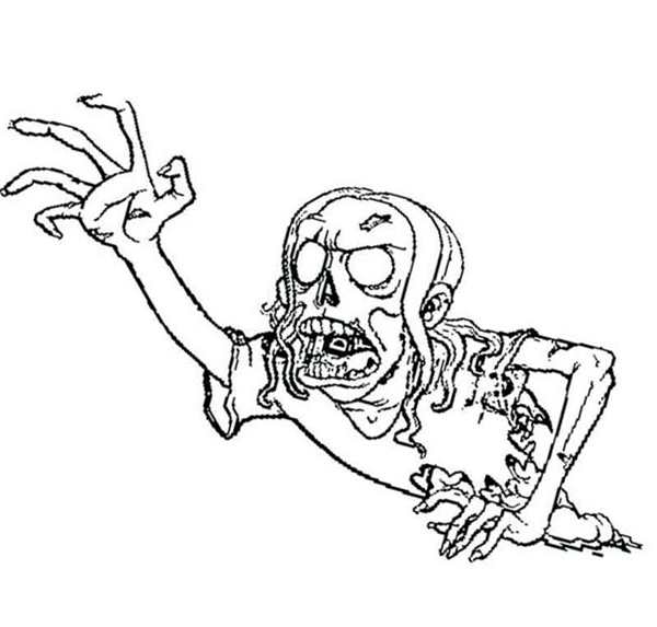 Раскраска Plants vs Zombies 2