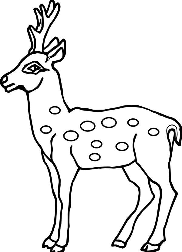 Рисунок оленя для раскрашивания