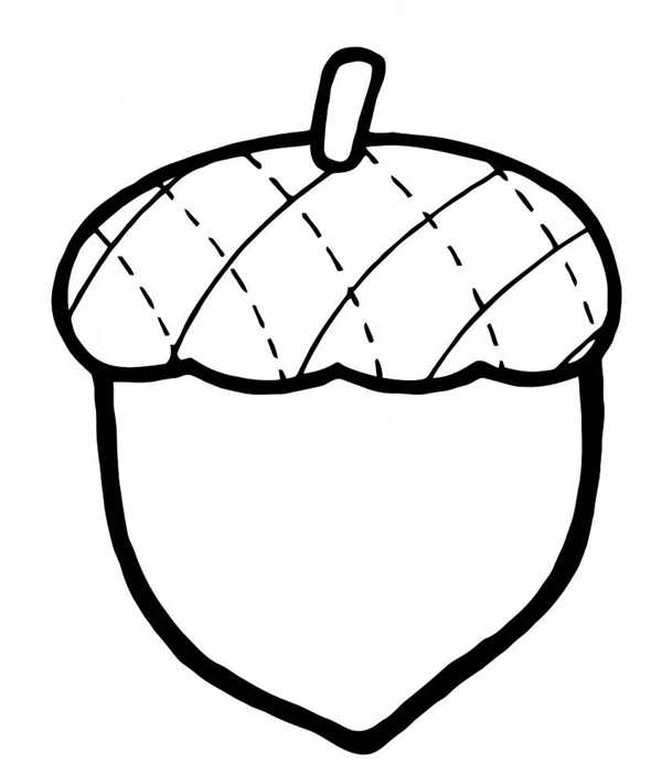 Лесной орех раскраска