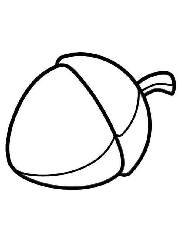 Лесной орех лещина