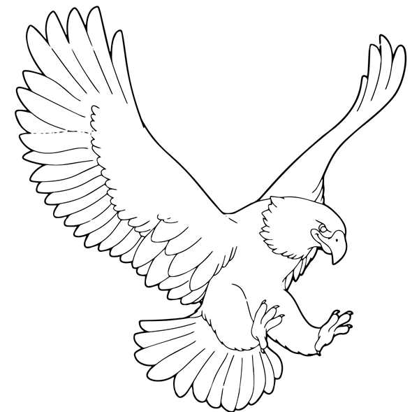 Орел раскраска