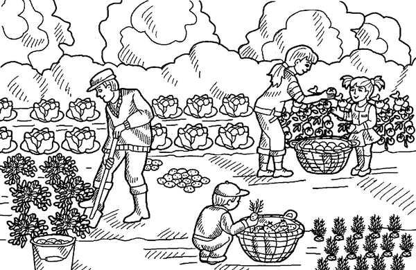 Сады. Раскраска