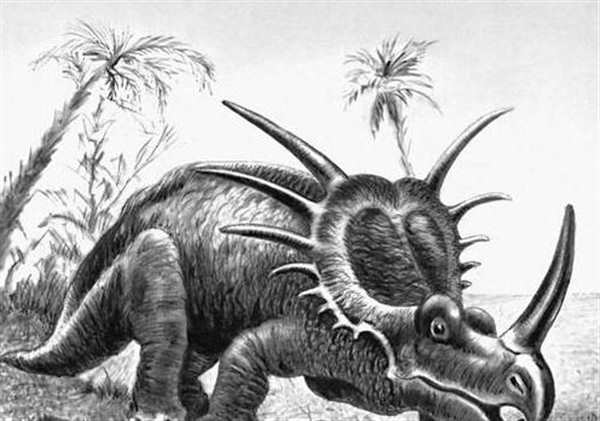 Раскраска Остроголовый Стиракозавр в Пикантных Подробностях prehistoria