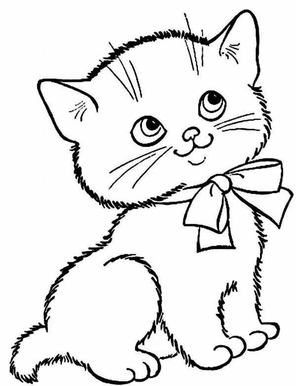 Раскраска котенок с цветами