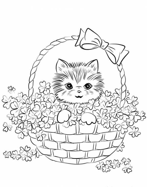 Раскраска. Котики