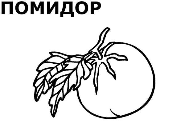 Раскраска для малышей фрукты и овощи