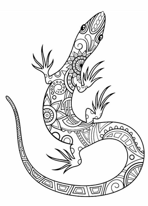 Ящерица рисунок
