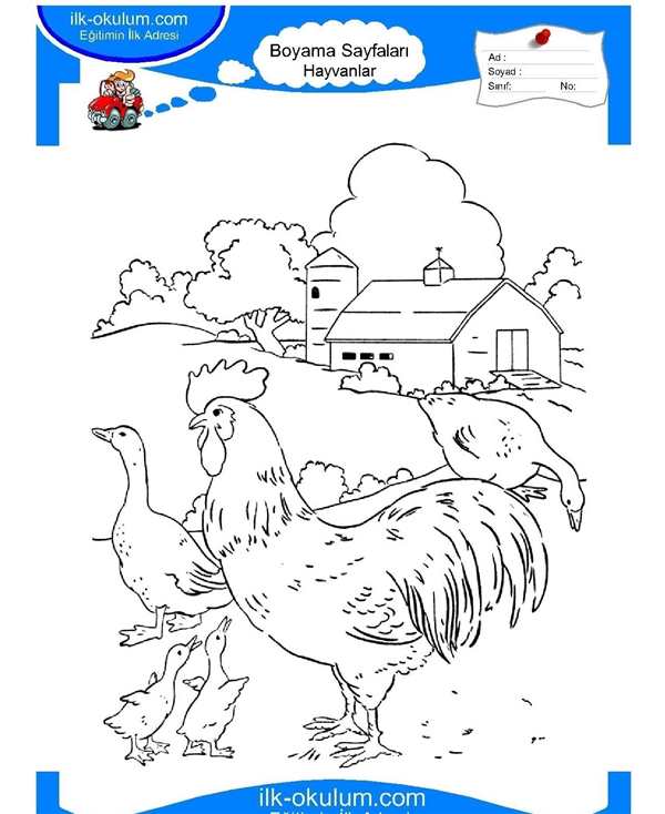 Петух раскраска