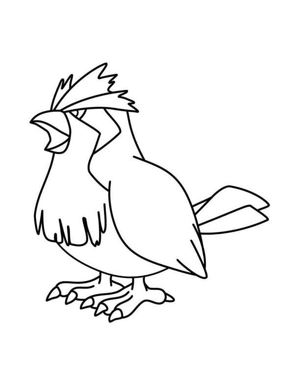 ПИДЖЕЙ рисунок