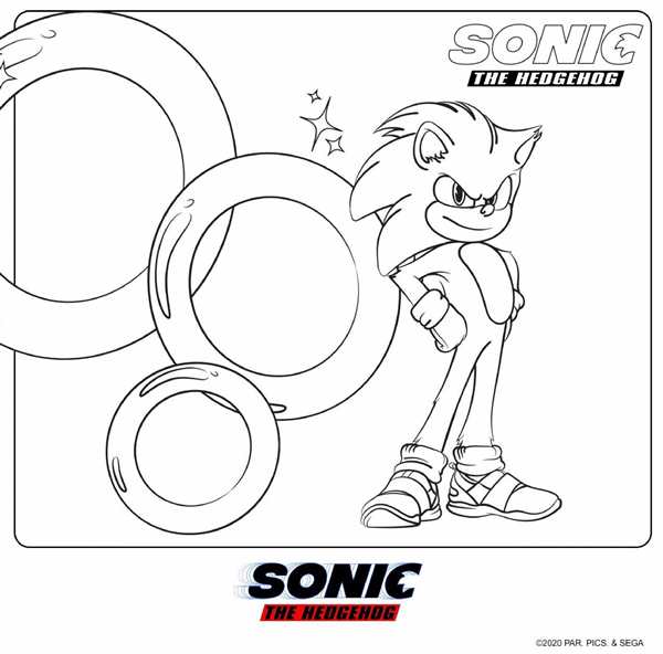 Раскраска Питомцев из Sonic Чао в Цветах