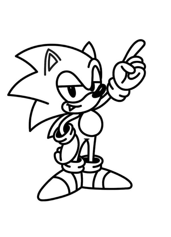 Раскраска Питомцев из Sonic Чао в Цветах