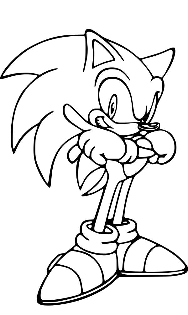 Раскраска Питомцев из Sonic Чао в Цветах