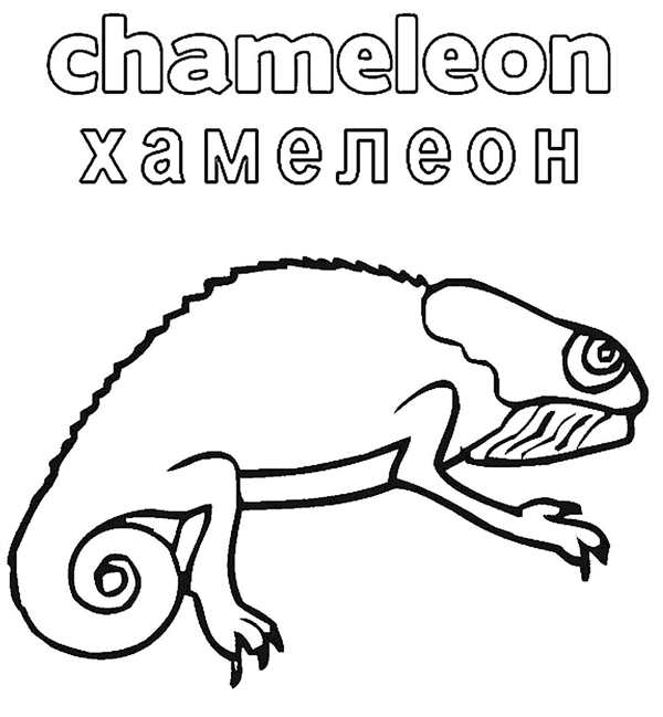 Хамелеон рисунок для детей
