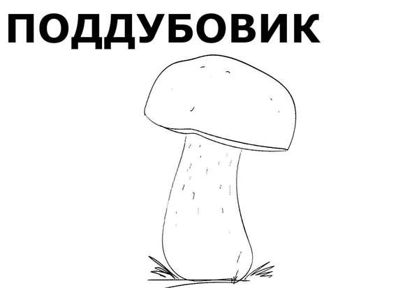 Грибы раскраска для детей