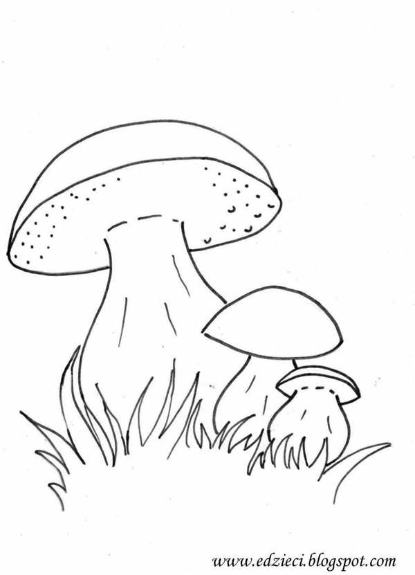 Рисунок гриба для детей раскраска