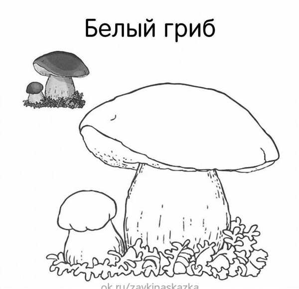 Гриб подосиновик раскраска