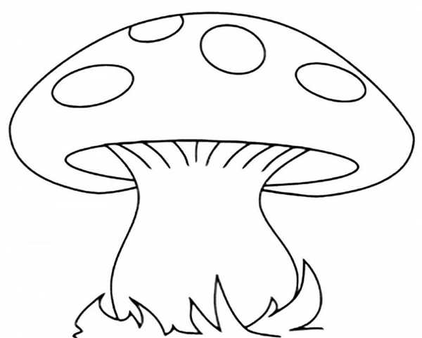 Бледная поганка и мухомор раскраска